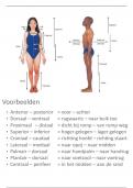 Anatomie: het menselijk lichaam