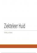 Ziekteleer Huid