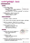 Hoofdstuk 1 cursus embryologie loco