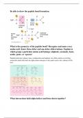 Proteins: Structure, Interactions, and Function