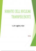Somatic cell nuclear transfer (SCNT)