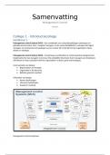 Samenvatting -  Management control