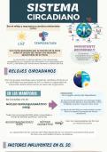 Infografía- Sistema Circadiano