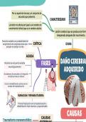 Mapa mental: Daño Cerebral Adquirido