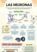 Aprende sobre neuropsicología