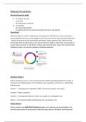 Biology Key Points Cell Division