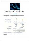 biology patterns of inheritance summary