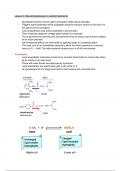 Biomedicine 1 - Lecture Notes neurotransmission 