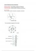 Biomedicine 1 - lecture notes on movement of ions and cells