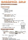 Samenvatting volledig cursus anatomie loco (met tekeningen)