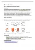 Benzene notes