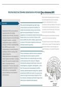 Summary of dopamine desensitisation hypothesis - AQA Psychology