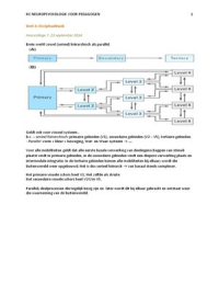 Colleges Neuropsychologie, deel 4: Occipitaalkwab