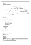 Tema 1 y 2. La Constitución Española de 1978: estructura y contenido. La reforma de la Constitución. Derechos y deberes fundamentales. Su garantía y suspensión. El Defensor del Pueblo.