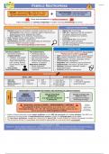 Febrile Neutropenia Note_0