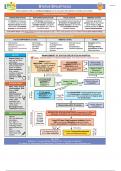 STATUS EPILEPTICUS