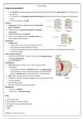 rheumatology