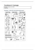 Samenvatting Hoofdstuk 4: Cytologie 