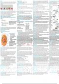 Metabolism and its control Lecture notes & Exam notes 