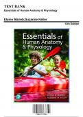 Test Bank for Essentials of Human Anatomy & Physiology , 13th Edition by Marieb, 9780137375561, Covering Chapters 1-16 | Includes Rationales