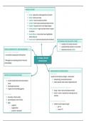 Schema's Beleid & Ethiek 3de BACH Orthopedagogie HoGent