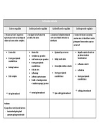 SCHEMA : types extrinsieke motivatie 