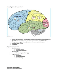 Samenvatting Hersenen & Gedrag