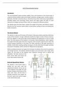 Unit 8 - Musculoskeletal System (achieved DISTINCTION)