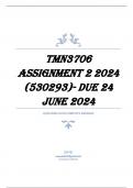 TMN3706 Assignment 2 2024 (530293)- DUE 24 June 2024