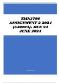 TMN3706 Assignment 2 2024 (530293)- DUE 24 June 2024