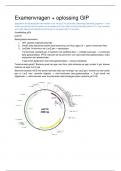 EXAMENVRAGEN + OPLOSSINGEN GIP 