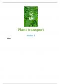  a level biology plant transport summary