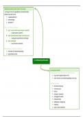 BUNDEL Schema's en woordenlijst Community Based Werken 3e BACH Orthopedagogie HoGent