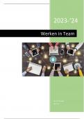 Samenvatting Werken in Teams