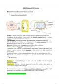 GCSE AQA Biology (9-1) Full Course Revision