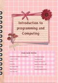 Chapter One Summary -  Introduction to Programming (ISTN2IP)