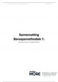 Samenvatting Beroepsmethodiek 