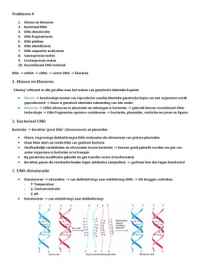 Taak 4. DNA (Meten is weten)