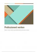 Beroepsproduct 8.2: Professioneel werken