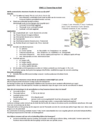 OWG's periode 4