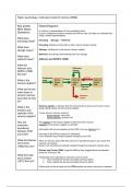 Psychology- Multi Store Model