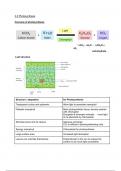 Biology A2 level photosynthesis notes (WJEC)