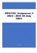 PES3701 Assignment 3 2024 - DUE 30 July 2024