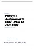 PES3701 Assignment 3 2024 - DUE 30 July 2024