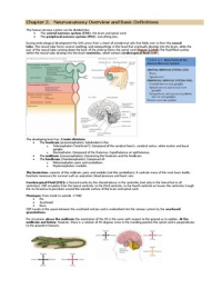 Blumenfeld: Neuroanatomy through clinical cases