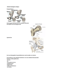 Fysiotherapie blok 3