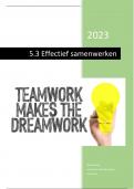 5.3 Effectief samenwerken. Cijfer 8.0