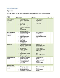 Overzicht diagnostische tests LP13