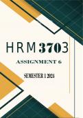HRM3703 Assignment 6 2024