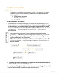 Cardiologie